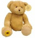 Memory Bear